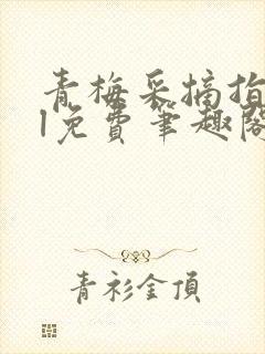 青梅采摘指南gl免费笔趣阁