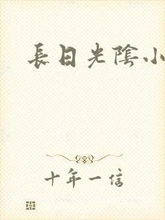 长日光阴小说