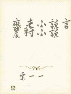 恋老小说言情网农村小说