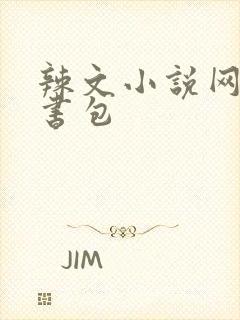 辣文小说网第二书包