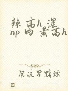 辣 高h 浓 np 肉 黄高h