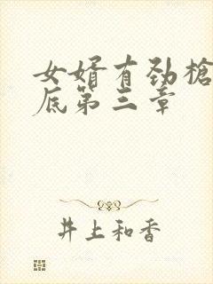 女婿有劲枪枪到底第三章