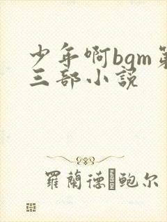 少年啊bgm第三部小说