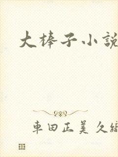 大棒子小说