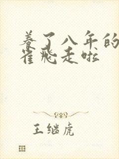 养了八年的金丝雀飞走啦