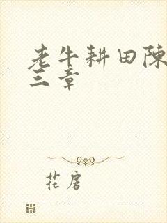 老牛耕田陈雪第三章