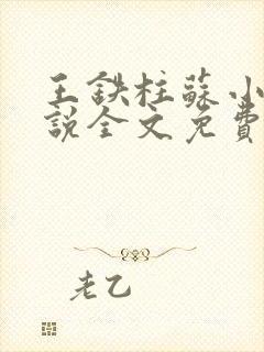 王铁柱苏小汐小说全文免费阅读最新章节