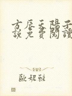 方辰天阳子的小说免费阅读