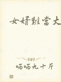 女婿难当大结局