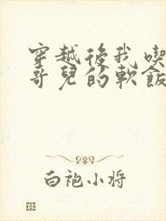 穿越后我吃到了哥儿的软饭炉山灰