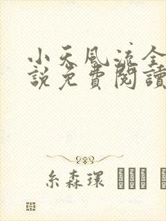 小天风流全集小说免费阅读
