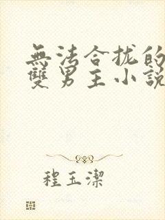 无法合拢的总裁双男主小说