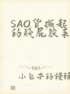 SAO货撅起你的贱屁股来