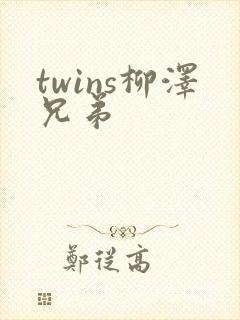 twins柳泽兄弟