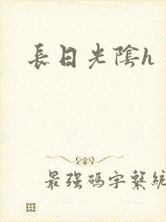 长日光阴h