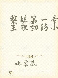 系统第一章给宿主破初的小说