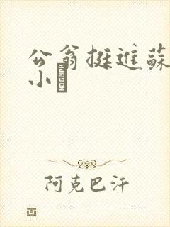 公翁挺进苏玥的小泬