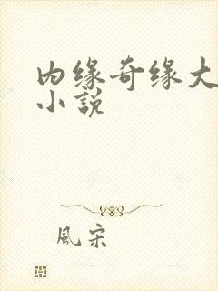 内缘奇缘大团圆小说