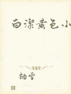 白洁黄色小说