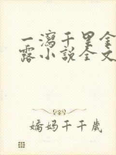 一泻千里金银花露小说全文免费阅读