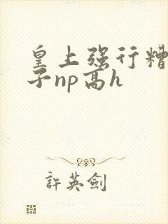 皇上强行糟蹋太子np高h