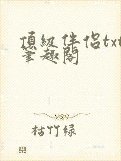 顶级伴侣txt笔趣阁