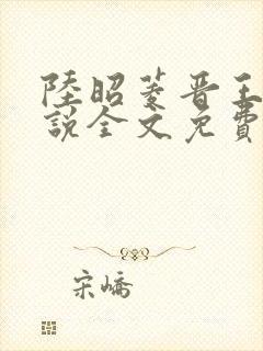 陆昭菱晋王的小说全文免费阅读