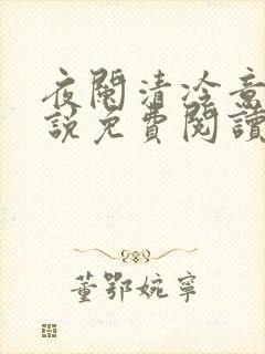 夜阑清冷意欢小说免费阅读