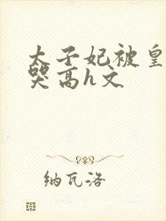 太子妃被皇上c哭高h文