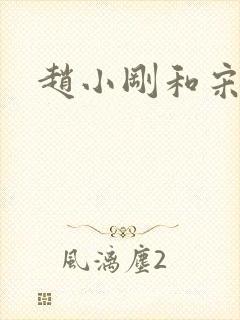 赵小刚和宋雨晴