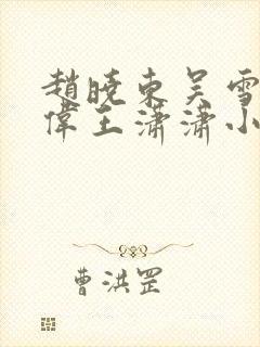 赵晓东吴雪晴郑伟王潇潇小说名字