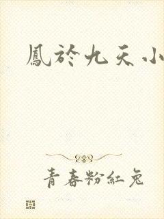 凤于九天小说