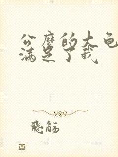 公么的大龟强大满足了我