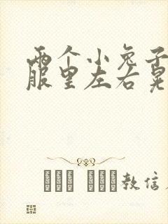 两个小兔子在衣服里左右晃