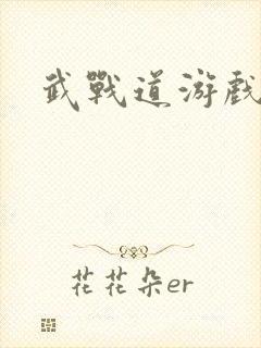 武战道游戏