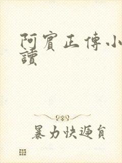 阿宾正传小说在读