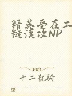 精英受在工地被糙汉攻NP