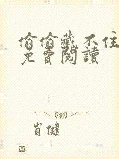 偷偷藏不住小说免费阅读