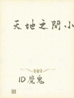 天地之间小说