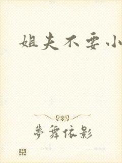 姐夫不要小说
