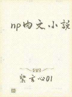 np肉文小说