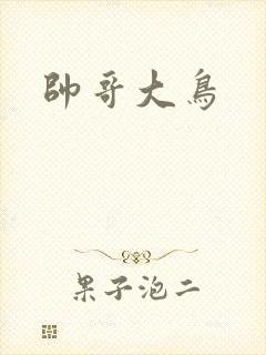 帅哥大鸟