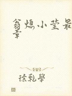 翁熄小莹最新节章