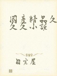 国产精品久久久久久小说