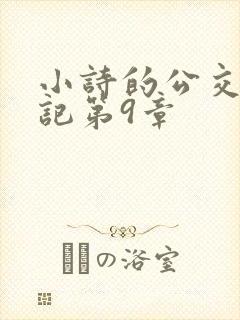 小诗的公交车日记第9章