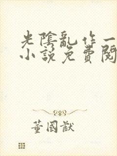 光阴乱作一团的小说免费阅读