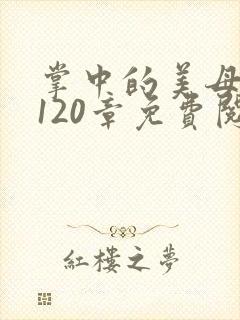 掌中的美母版主120章免费阅读
