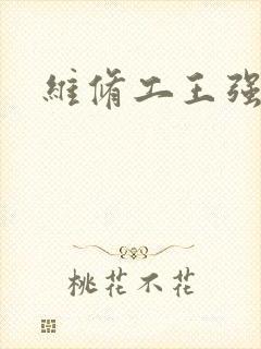 维修工王强张婷