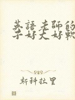 英语老师的小兔子好大好软水