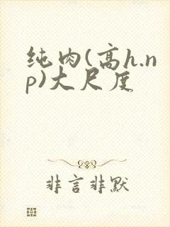 纯肉(高h.np)大尺度